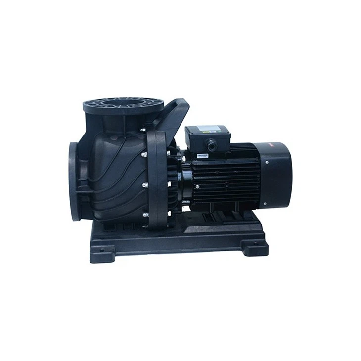 Swimming Pool Filter Pump